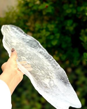 LS LUXURIOUS OVAL PLATTER 1PC