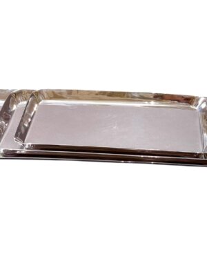 Stainless Steel Rectangular Trays Set of 3